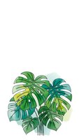 Tropical monstera plant leaves with watercolor splash background isolated on white for botanical design and home decor projects.