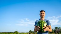Young male farmer of Caucasian ethnicity holding fresh green watermelon in agricultural field under clear blue sky, representing harvest, farming, and organic produce for agricultural marketing.