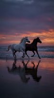 Two horses galloping on beach at sunset with dramatic sky and water reflections creating romantic silhouette scene for nature and equestrian themes.