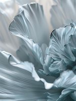 Soft blue-tinted macro photograph of delicate flower petals creating abstract waves and curves with gentle light and shadow play, suitable for wall art and decor.