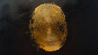 Golden fingerprint pattern glowing against dark background, detailed biometric scan visualization with concentric circular ridges and unique identifying characteristics.