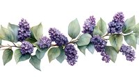Watercolor lilac branch with green leaves arranged in horizontal border pattern, purple spring flowers in natural arrangement on white background.