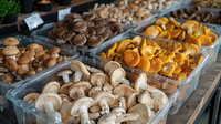Fresh assorted mushrooms in market display, including brown and white button mushrooms and golden chanterelles arranged in plastic containers, showing texture and variety.