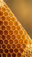 Golden honeycomb with hexagonal cells close-up macro shot showing natural wax structure and warm amber tones for organic food and beekeeping concepts.