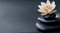 Serene white water lily blossom resting on black spa stones against dark background, creating zen-like atmosphere for wellness and meditation concepts.