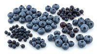 Fresh blueberries isolated on white background, various sizes and ripeness levels. Use for food, nutrition, healthy eating, recipe, and culinary design projects.