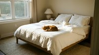 Cozy bedroom interior with neatly made bed featuring cream linens, wooden frame, decorative pillows, bedside lamp, and natural light from window for home decor and lifestyle content.