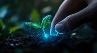 Magical glowing plant seedling emerging from soil with sparkles and ethereal light effects, fingers gently touching new growth against dark background.
