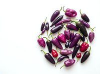 Fresh purple and red eggplants with green stems arranged in circle on white background, isolated for culinary and food design projects.