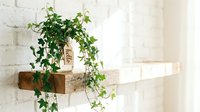 Trailing ivy plant in a glass jar with hello tag on rustic wooden shelf against white brick wall, cozy home decor interior.