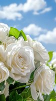 Cluster of white roses with lush green foliage against bright blue sky with white clouds, suitable for wedding, celebration, and floral design projects.