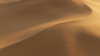 Golden sand dunes with smooth flowing curves and warm sunlight casting soft shadows, showcasing the serene beauty of an arid desert landscape.