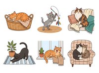 Cute cats in various relaxing situations, isolated on white background. Orange tabby kitten in wicker basket, gray cat playing with toy, brown and white cat on armchair with blanket, black cat stretching on mat, ginger cat napping on chair, black and white cats cuddling on sofa. Perfect for pet-related designs, t-shirts, stickers, greeting cards and children's illustrations.