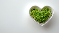 Fresh chopped green onions in heart-shaped white ceramic bowl on light background, perfect for cooking and food blog content.