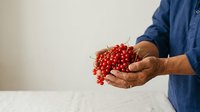 Farmer holding fresh red currants in hands, wearing blue shirt, isolated on white background for agricultural and food industry use.