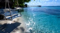 Wooden swing over crystal clear turquoise water at tropical beach paradise, with long pier stretching into calm ocean and palm tree shadows on white sand.