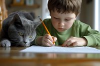 Young boy in green sweater doing homework while grey cat watches attentively at wooden table, creating heartwarming educational scene with natural lighting.