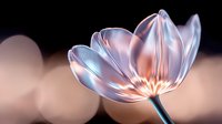 Ethereal translucent flower with delicate petals glowing in soft pink and blue hues against dark background with bokeh light effects.