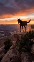 Wild horse silhouette standing on rocky cliff edge during dramatic sunset with orange and purple sky over canyon landscape for western adventure themes.