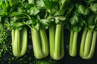 Fresh organic celery stalks with water drops arranged in row on dark background. Perfect for healthy eating, diet, and culinary projects. Natural food photography.