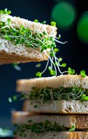 Fresh microgreens sandwich on white bread stacked in layers against dark background with green bokeh lights, close-up macro food photography for menu design.