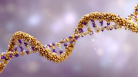 Golden DNA double helix structure with purple connecting elements floating on blurred purple background, molecular biology and genetic research concept.