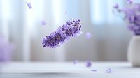 Floating lavender flower with falling petals against soft white background, creating serene atmosphere for wellness and aromatherapy designs.