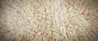 Soft cream colored fluffy sheep wool texture background with natural curly fibers creating cozy warm surface for interior design and textile projects.