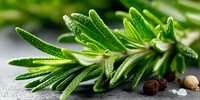 Fresh rosemary herb sprig with aromatic green needles on gray stone surface, close-up view for culinary and cooking ingredient photography.