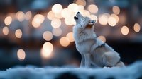 White wolf sitting in snow at dusk with magical bokeh lights in background creating dreamy winter atmosphere, side view of wild animal looking up at night sky.