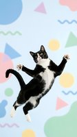 Playful black and white kitten jumping with paws up against colorful geometric shapes background for pet care advertising and social media content.