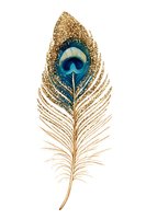 Elegant peacock feather with gold glitter texture and deep teal eye spot, isolated on white background. Perfect for luxury design, fashion, home decor, and artistic projects.