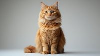 Majestic ginger Norwegian Forest cat with long fluffy fur sitting upright against neutral gray background, looking directly at camera with bright eyes.