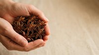 Hand holding a cluster of star anise spices on neutral background, suitable for culinary, cooking, and food styling projects.