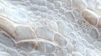 Macro view of soap bubbles creating abstract organic pattern in white and beige tones. Delicate foam texture with cellular structure forms artistic background.