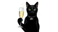 Black cat holding champagne glass with green eyes, wearing collar with 2025 charm, celebrating New Year's Eve or festive occasion.