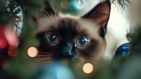 Curious Siamese cat with bright blue eyes peeks through Christmas tree branches surrounded by colorful ornaments and twinkling holiday lights creating magical atmosphere.