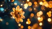 Glowing golden flower with bee against dark background with magical bokeh lights creating dreamy atmosphere, macro photography with soft focus effect.
