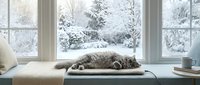 Cozy tabby cat sleeping peacefully on window sill overlooking snowy winter landscape through large windows creating serene indoor atmosphere.