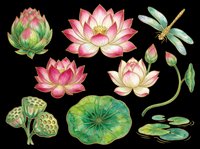 Lotus flower clipart set with dragonfly, lily pads, buds, and seed pods, isolated on transparent background. Ready for t-shirts, stickers, and print on demand.