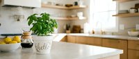 Fresh basil plant in a decorative white pot on a marble kitchen counter, bright modern home interior with wooden shelves and lemons.