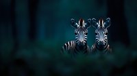 Two zebras looking directly at camera in dark mysterious forest setting with teal background creates dramatic wildlife scene. African animals in natural habitat.