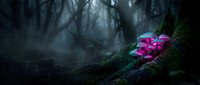 Vibrant pink flowers blooming on moss-covered tree trunk in mysterious dark forest with ethereal light rays filtering through misty atmosphere.