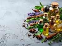 Natural essential oils in glass bottles with cork stoppers surrounded by fresh herbs, lavender, and spices for aromatherapy and wellness treatments.