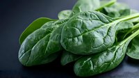 Fresh spinach leaves with textured surface on dark background, showcasing vibrant green color and natural veins for healthy food photography.
