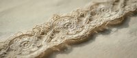 Ornate lace trim with intricate floral patterns on cream fabric, ideal for wedding invitations, textile design, and decorative crafts.