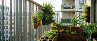 Urban balcony garden with lush green plants in wooden planters and hanging baskets, modern apartment building backdrop, sustainable living and outdoor space design.
