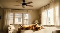 Cozy living room interior with orange tabby cat relaxing on beige sofa near large windows with natural sunlight and ceiling fan for home decor inspiration.