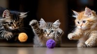 Three adorable fluffy kittens playing with colorful yarn balls on wooden floor. Cute domestic cats with striped and orange fur patterns for pet care concepts.