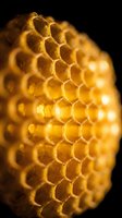 Macro close-up of golden honeycomb structure with hexagonal cells filled with honey, isolated against black background for beekeeping and apiary concepts.